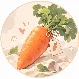 蘿蔔