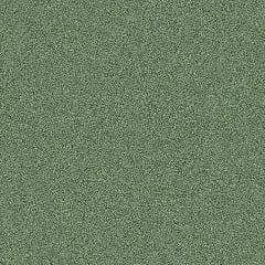 도현 이미지 1