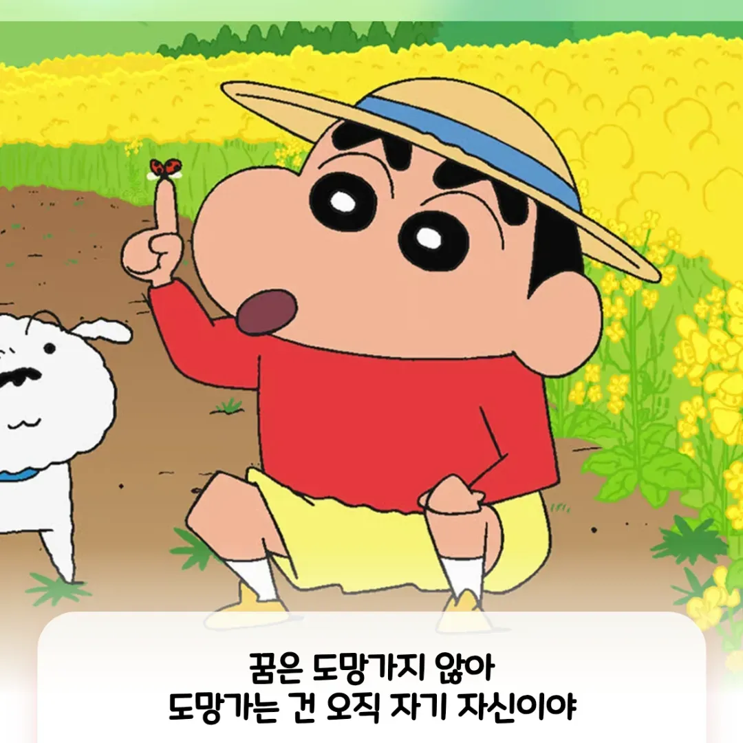 쵯채리 이미지 1
