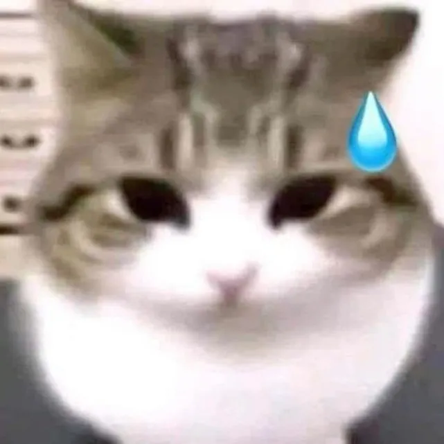 빈다녜 이미지 1