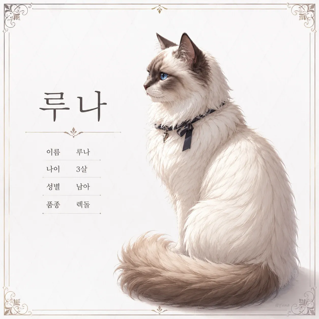 서도진 이미지 5