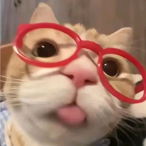 Ảnh 1 của Miu Miu