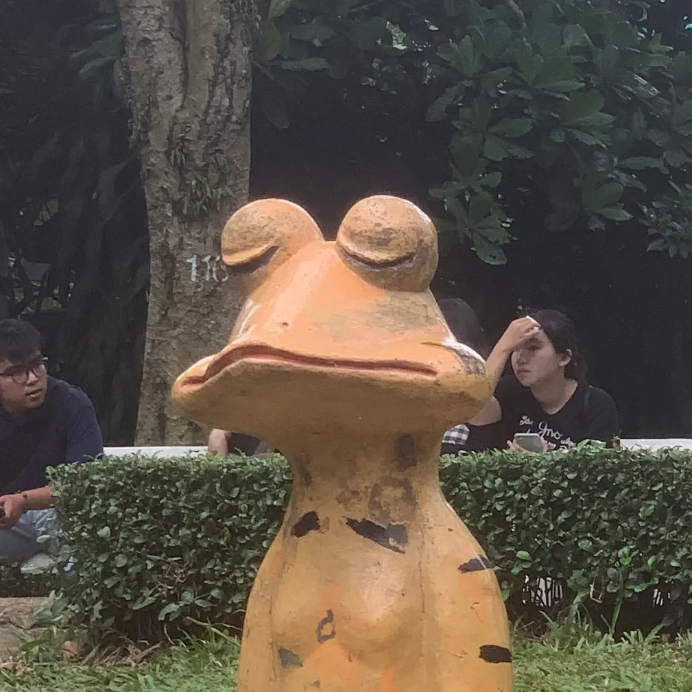 Ảnh 1 của Ngựa ngựa chan
