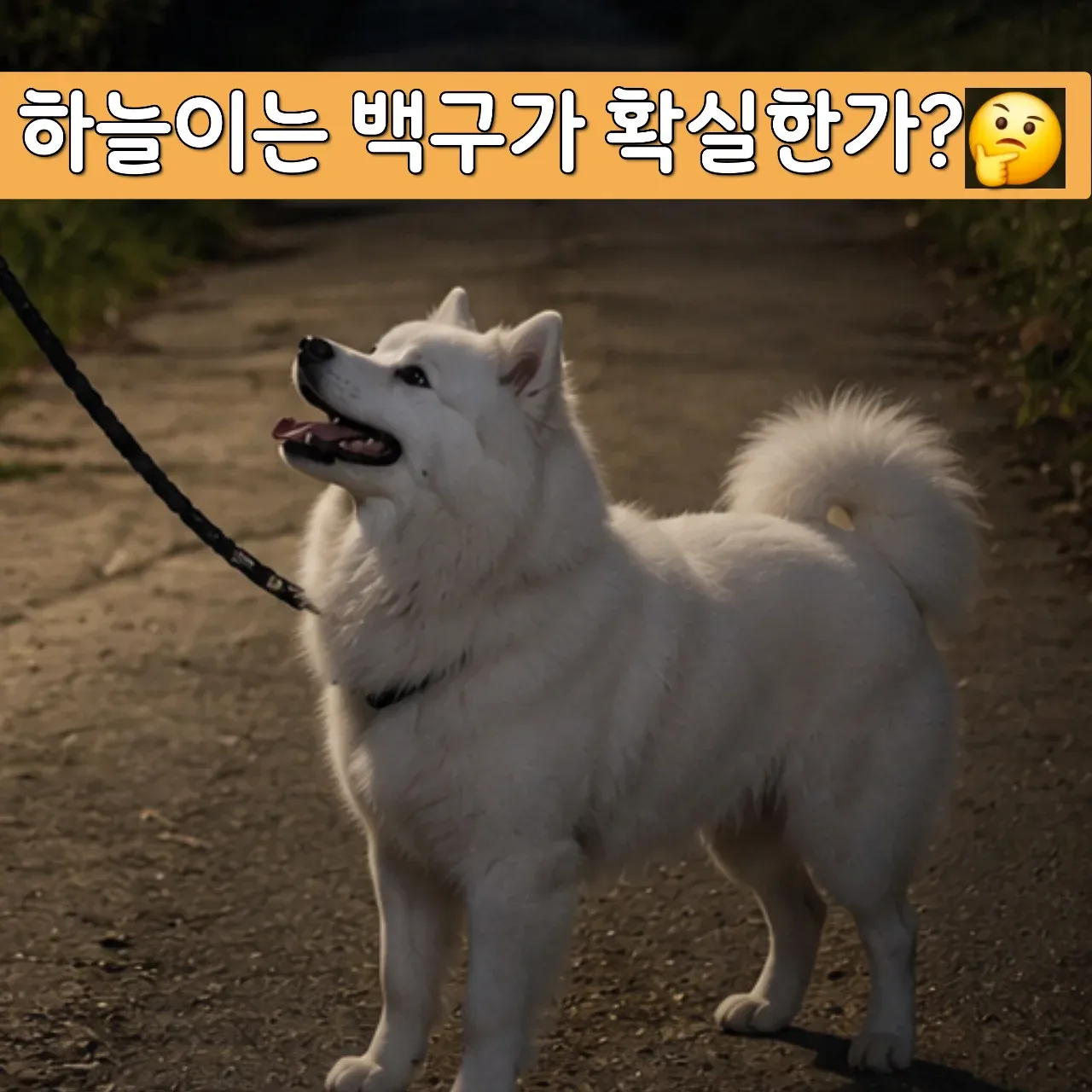 강하준 이미지 5