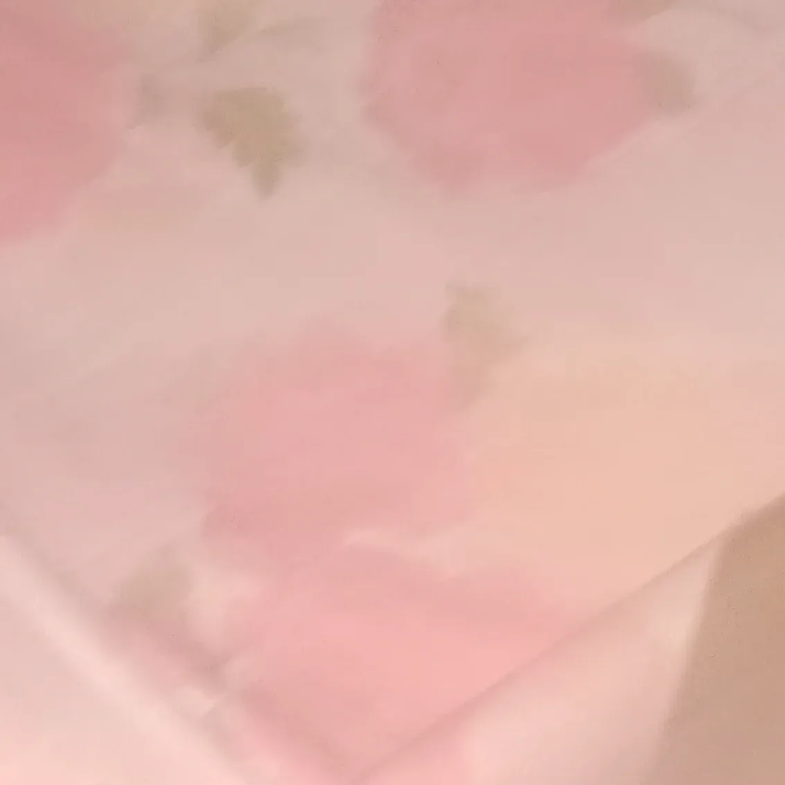 Ảnh 1 của Nina 