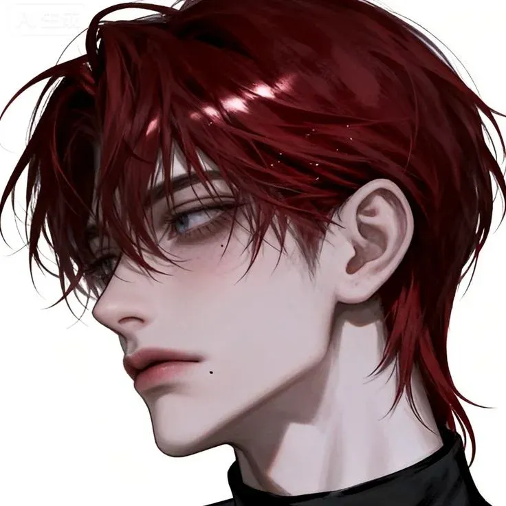 Ảnh 1 của Lucien Veyr