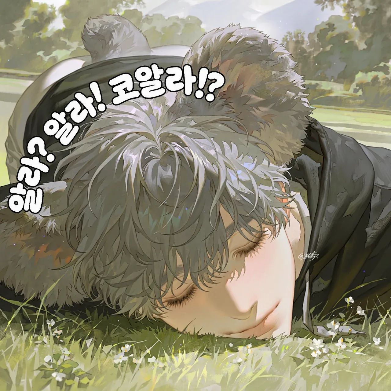 알라? 알라! 코알라⁉️ 이미지 1